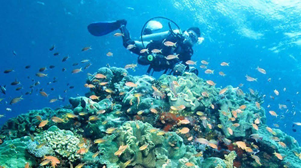 Bajo Komodo Eco Lodge Labuan Bajo Dış mekan fotoğraf